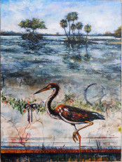 Of Heron and Hammocks