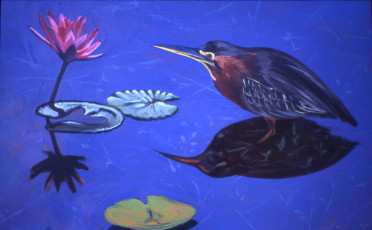 Green Heron and Water Lily